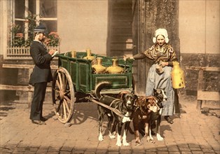 Flemish milk women, Antwerp, Belgium ca. 1890-1900