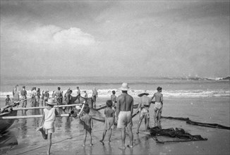 Retracting fishing nets probably in Wijnkoopsbaai (Pelabuan Ratu) Indonesia, Java, Dutch East Indies ca. 1947