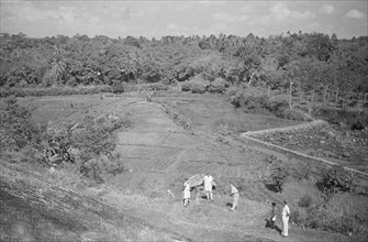 Buitenzorg: Here the golf links are open again in Bogor, Indonesia, Java, Dutch East Indies ca. 1947