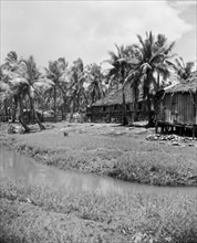 Fishing village on Soembawa in Indonesia, Dutch East Indies, Sumbawa ca. 1948