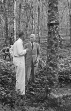 Prime Minister Beel in conversation with a man in white clothing on a rubber plantation Location Indonesia, Dutch East Indies, 1940s