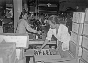 Workers in Orange Breweries on the Amanusgracht in Batavia (Jakarta) Indonesia ca. 1947