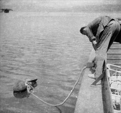 1948 - Soldier takes a floating mine inboard - Location: Indonesia, Dutch East Indies