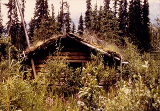 Old cabin N Fork Koyukuk River near 'North' lake 7/13/1973