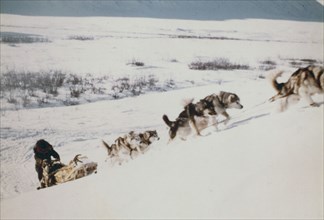 Dog sled trip from Bettles to Anaktuvuk - Gates of the Arctic ca. 1975