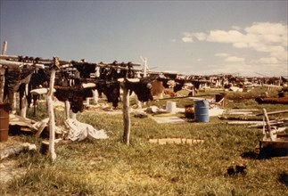 July 1976 - Meat drying