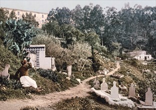 The cemetery, Algiers, Algeria ca. 1899