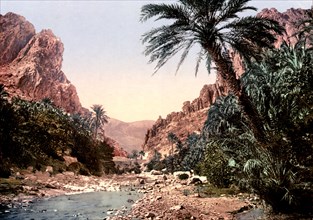 The river, El Cantara, Algeria ca. 1899