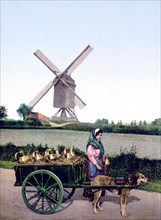 Milksellers, Brussels, Belgium ca. 1890-1900