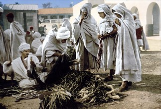 Market, Biskra, Algeria ca. 1899