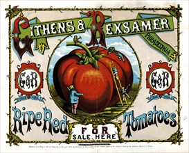 19th century advertisement - Ripe red tomatoes for sale here ca. 1869