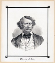 Charles Sumner portrait print ca. 1874