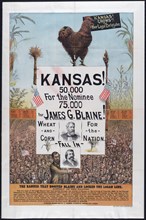 The banner that boosted Blaine and locked the Logan link (chromolithograph ca. 1884)