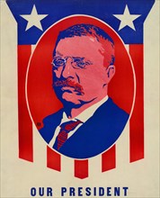 Theodore Roosevelt Print