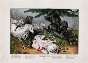Print shows Ivan Mazepa, naked, bound to the back of a wild horse as punishment for his affair with Countess Theresa ca. 1846