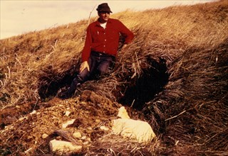 Ca. 1973 - NPS biologist at mouth of bear den, Alaska