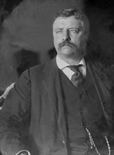 Theodore Roosevelt, half-length portrait, seated, looking left 1902