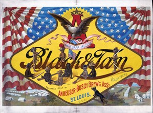 Anheuser-Busch black & tan prepared only by Anheuser-Busch brewing association ca. 1899 - advertisement