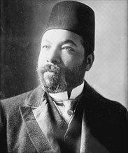 Ali Mehmed Bey, Turkish Minister