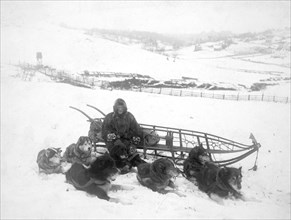 alaska Dog team carrying mail 1900-23