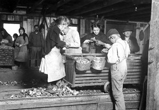 Little Lottie, a regular oyster shucker in Alabama Canning Co. She speaks no English, February 1911