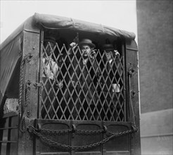 Man with gun looking out from inside an American Express truck transporting gold ca. September 8, 1915