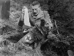 Man getting bandages from a dog, during World War I ca. 1914-1915