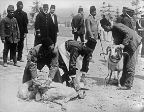 Turks sacrificing animals before battle, possibly during WW I