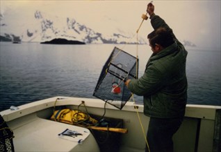 5/15/1973 - setting shrimp pots in Aialik Bay, Kenai Fjords Alaska