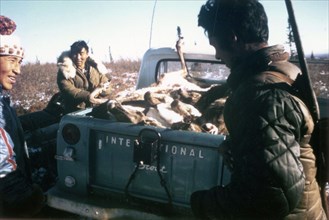 10/7/1972 - Caribou hunter, Ambler Alaska area, with dead Caribou