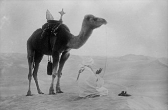 Man praying next to camel, in the Sahara Desert ca. 1910-1915