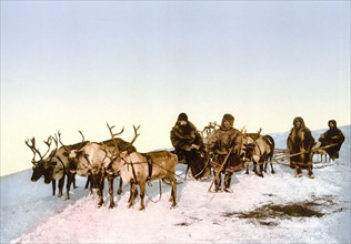 Traveling by reindeer, Archangel, Russia ca. 1890-1900