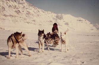 ca. 1975 - Sled trip, Gates of the Arctic, headwaters of the Anaktuvuuk River, Alaska