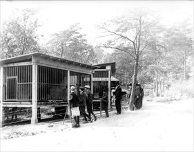 Group of people looking at bears in cages in the National Zoo, Washington, D.C. ca. 1909-1932