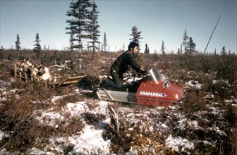 10/7/1972 - Caribou hunter, Ambler Alaska area, with dead Caribou