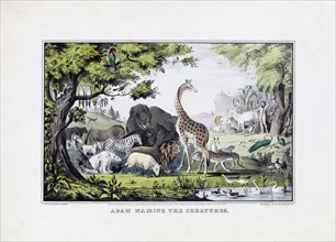 Adam naming the creatures/Adam Llamo los Animales ca. 1847