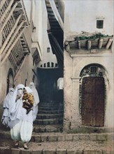 Street of the camels, Algiers, Algeria ca. 1899