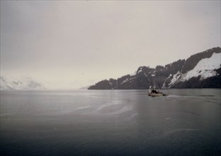 5/16/1973 - Boat in Coleman Bay, Kenai Fjords, Alaska