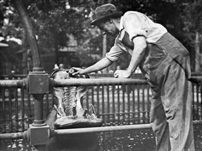 Man feeding a hippopotamus in Central Park New York ca. 1910-1915