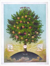 Tree of Life illustration - Tree with fruits labeled with various virtues ca. 1892