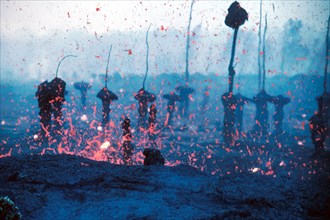 1983 - Hawaii Volcano - In the year of '83 amongst the schlopp and the spatter stood molds of tree trunks, whose lives did once matter. The lava, it flowed, it hugged those tree trunks, till nothing w...