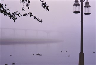 Las Colinas Irving Texas - 1990s - Ducks on Lake Carolyn in early morning fog (lake now partially filled in as of 2018)