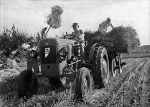 Farmers working in a field and using a Same DA 30 Tractor - Cassani da30 ca. 1950s - 1970s