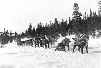 Erick Johnson U.S. mail team at Portage Creek, Alaska 1900-1927