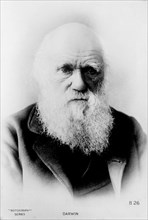 Darwin, Charles Carlyle - Charles Darwin, Evolutionist