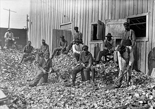 Oyster shuckers at Apalachicola, Fla. This work is carried on by many young boys during the busy seasons, January 1909