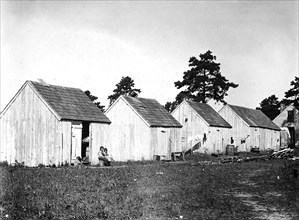 Small shack on Forsythe's Bog occupied by DeMarco family, 10 in the faiily living in this one room, September 1910