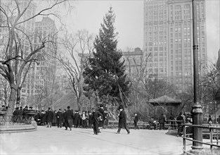 Madison Square Christmas Tree ca. 1910-1915