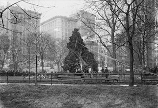 Madison Square Christmas Tree ca. 1913