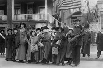 Suffrage hike to Albany, 1/1/14